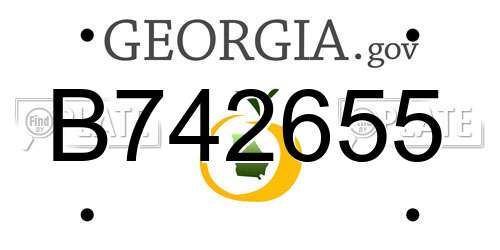 B742655 Georgia License Plate