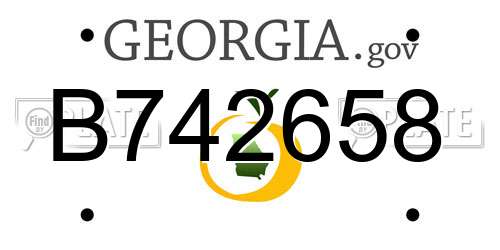 B742658 Georgia License Plate