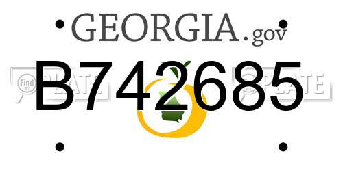 B742685 Georgia License Plate
