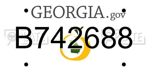 B742688 Georgia License Plate