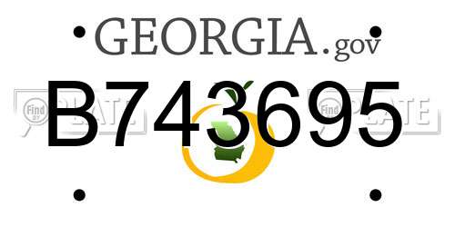 B743695 Georgia License Plate