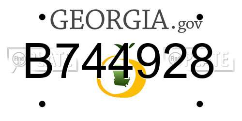 B744928 Georgia License Plate