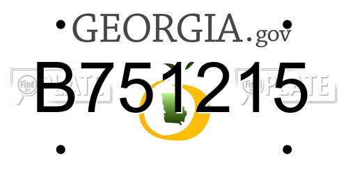 B751215 Georgia License Plate
