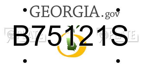 B75121S Georgia License Plate