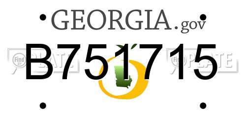 B751715 Georgia License Plate