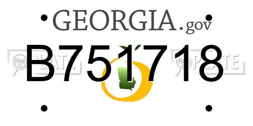 B751718 Georgia License Plate