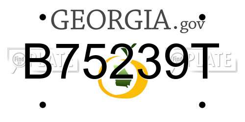 B75239T Georgia License Plate
