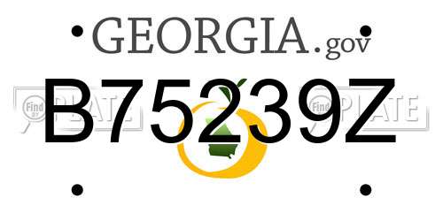 B75239Z Georgia License Plate