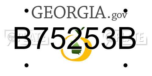 B75253B Georgia License Plate