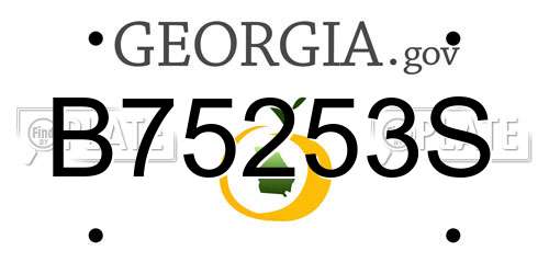 B75253S Georgia License Plate