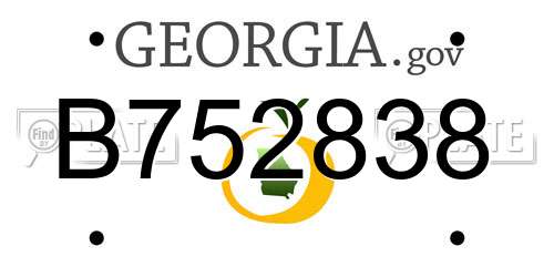 B752838 Georgia License Plate