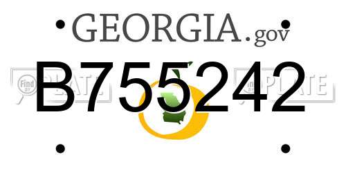 B755242 Georgia License Plate