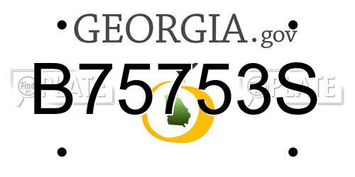 B75753S Georgia License Plate