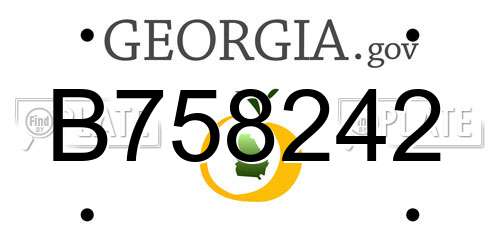 B758242 Georgia License Plate