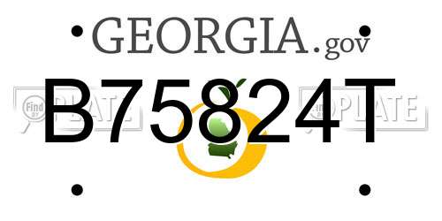 B75824T Georgia License Plate