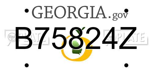 B75824Z Georgia License Plate