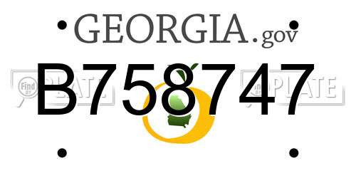B758747 Georgia License Plate