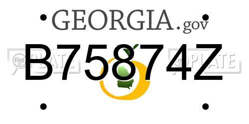B75874Z Georgia License Plate