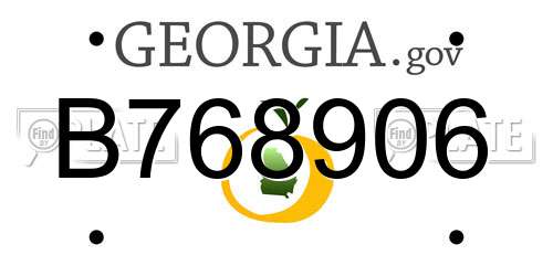 B768906 Georgia License Plate