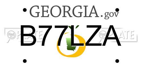 B77LZA Georgia License Plate