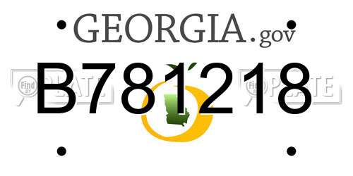 B781218 Georgia License Plate