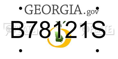 B78121S Georgia License Plate
