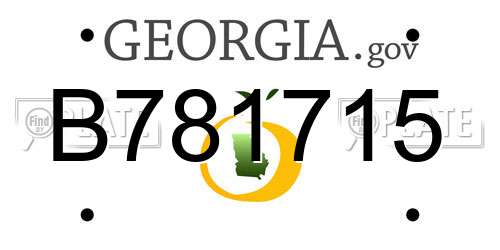 B781715 Georgia License Plate