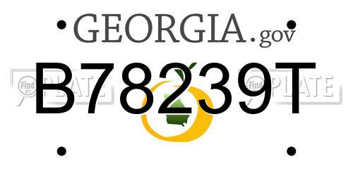 B78239T Georgia License Plate
