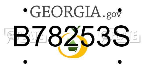 B78253S Georgia License Plate