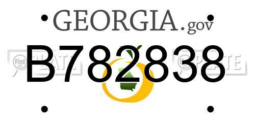 B782838 Georgia License Plate
