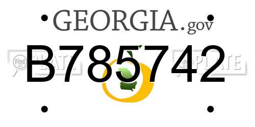 B785742 Georgia License Plate