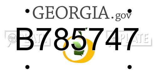 B785747 Georgia License Plate