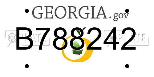 B788242 Georgia License Plate