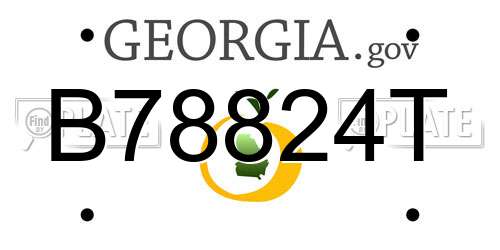 B78824T Georgia License Plate