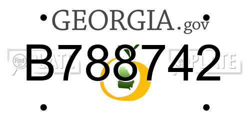 B788742 Georgia License Plate