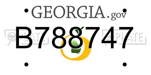 B788747 Georgia License Plate