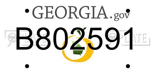 B802591 Georgia License Plate