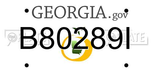 B80289I Georgia License Plate