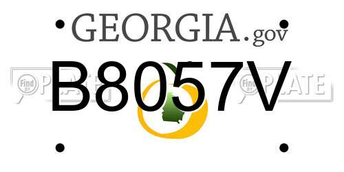 B8057V Georgia License Plate