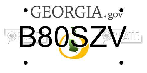 B80SZV Georgia License Plate