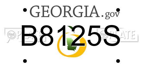 B8125S Georgia License Plate