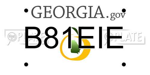 B81EIE Georgia License Plate
