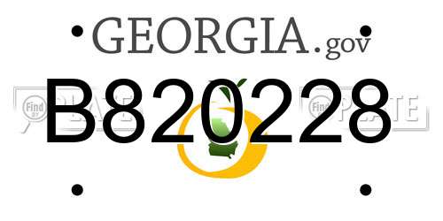 B820228 Georgia License Plate