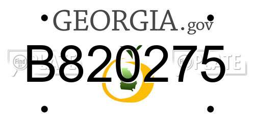 B820275 Georgia License Plate
