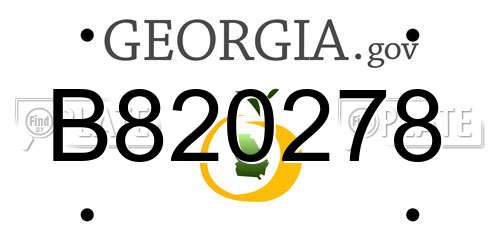 B820278 Georgia License Plate