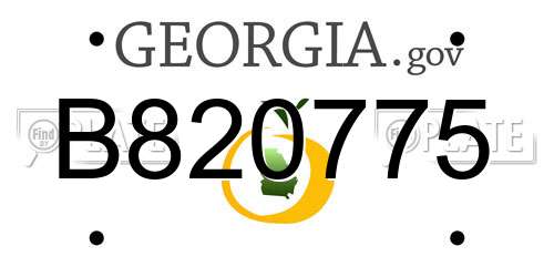 B820775 Georgia License Plate