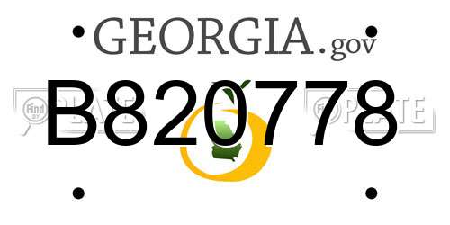 B820778 Georgia License Plate