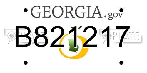 B821217 Georgia License Plate