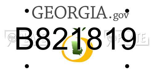 B821819 Georgia License Plate