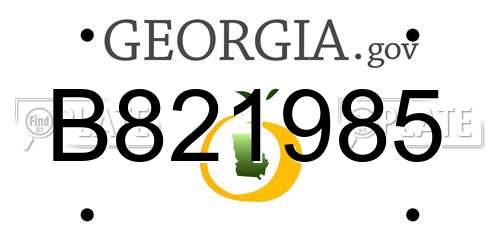 B821985 Georgia License Plate